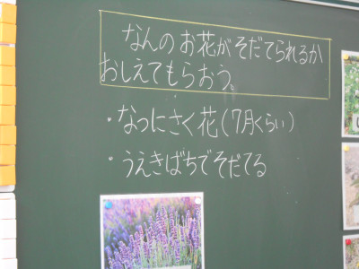 DSCN7146