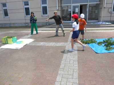DSCN7206