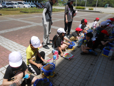 DSCN7620