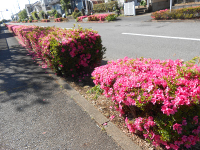 DSCN7843