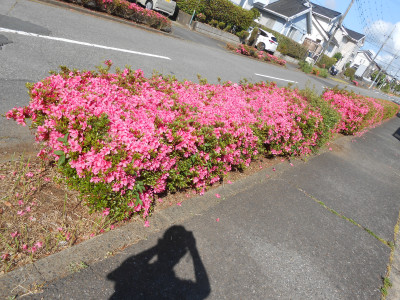 DSCN7844