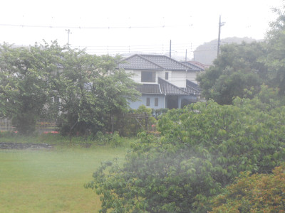 DSCN8379