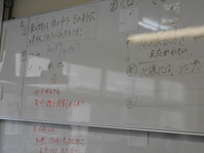 DSCN8491