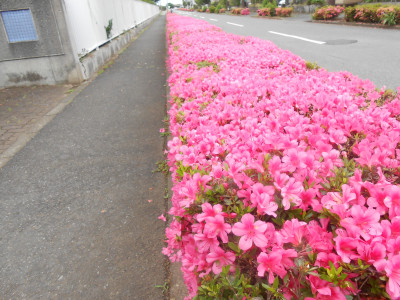 DSCN1849