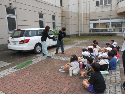 DSCN2581