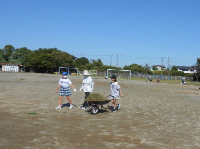 DSCN4984