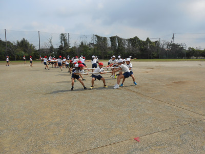DSCN5201