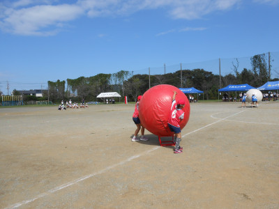 DSCN6288