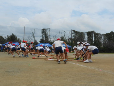 DSCN6729
