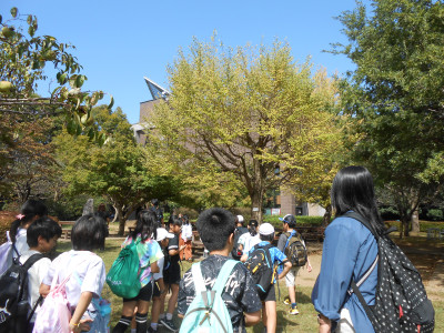 DSCN7002